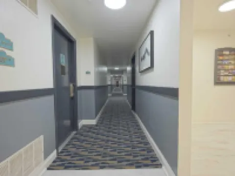 グリーンウッズ・イン＆スイーツ ベルリンのホテル