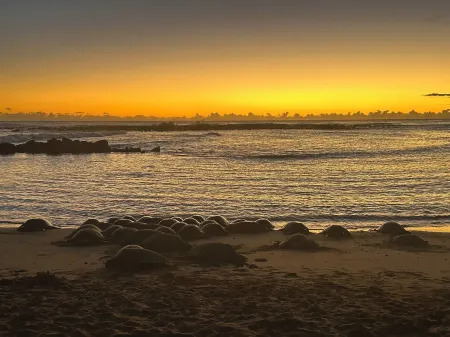 Orchid: One of two suites / Secluded pool oasis at Walelia Getaway - SouthKaua'i