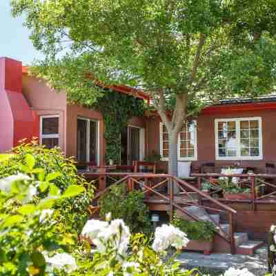 Gumtree Guest House Hotel Exterior