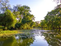 Castroville Riverfront Cottage - Fire Pit, 3 Bedroom, Screen Porch, Kid Friendly Hotels in Castroville