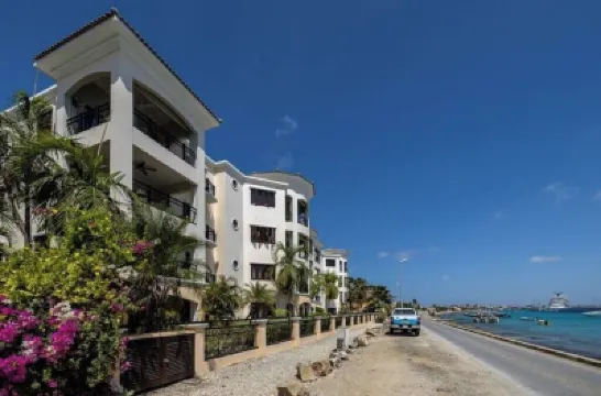 Island Vibes at Elegancia Hotels in 