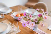 Oystercatcher vacation apartment with garden, terrace and beach chair