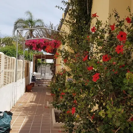 Holiday villa Palomayor