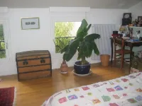 Maison D'artiste Avec Bambouseraie Enchanteresse aux Portes de Paris Hotels in Cachan