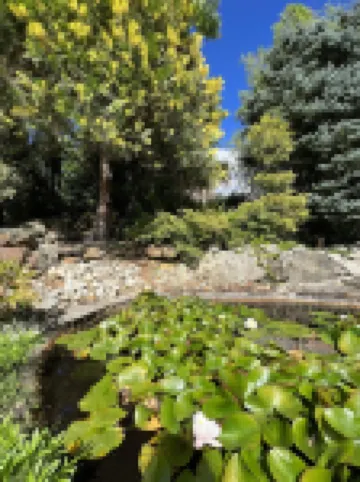 Cosy southern house with landscaped garden