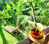 Tropical Bungalow in the jungle