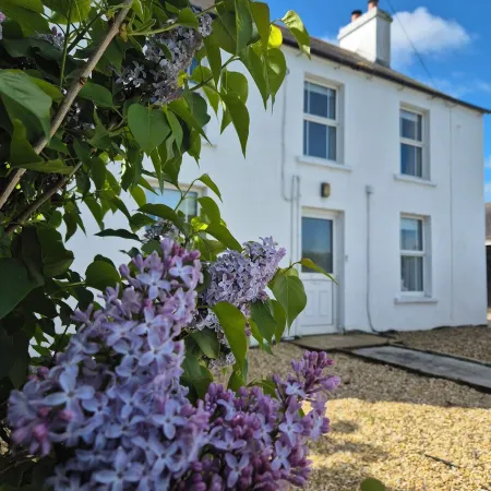 Alpaca Farmhouse with all weather private hot tub and alpaca experience included Отели в г. Дромор