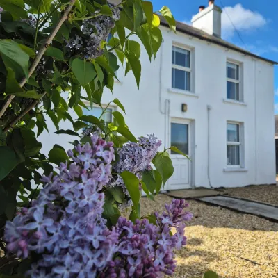 Alpaca Farmhouse with all weather private hot tub and alpaca experience included Các khách sạn ở Dromore