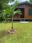 Maui Creek Bures - BURE CAGI! Hotels near Sigatoka Sand Dunes National Park