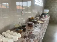 Flamboyant Hotel Hotels in Limeira