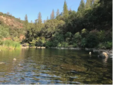Chillin' By The River