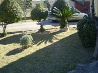 Apartment Kosor - Three Bedroom Apartment with Terrace and Sea view Отели в г. 