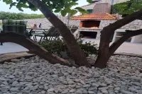 Luxury apartment Ani - Three Bedroom Apartment with terrace and Swimming pool - Wifi