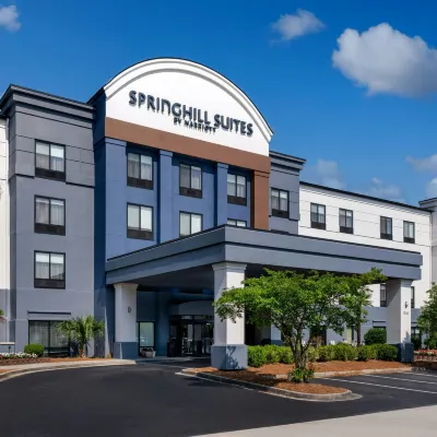 北查爾斯頓/阿什利法斯菲特萬豪SpringHill Suites 酒店 鄰近查爾斯頓南方大學的酒店