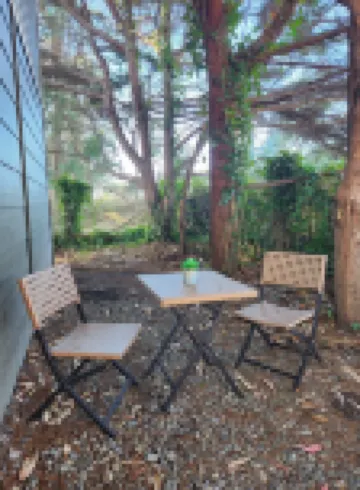 Modern Retro Retreat Hotels in McKinleyville