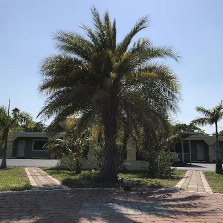 Apollo Inn - Cocoa