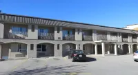 Metro Inn