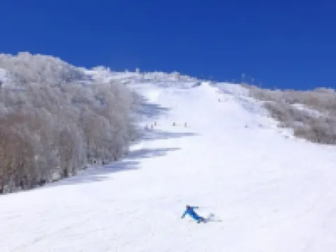 Wisterian Life Club Prominent Kurumayama Kogen