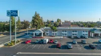 Best Western Town  Country Lodge - parking