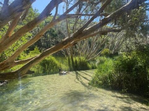 Sundaise Satinay 636