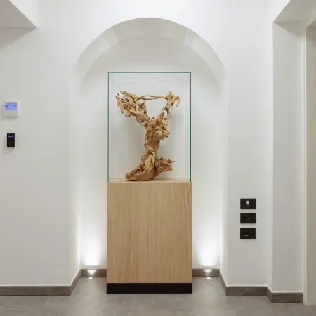 AMIRA Ca' Argento Premium Apartments