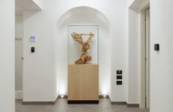 AMIRA Ca' Argento Premium Apartments