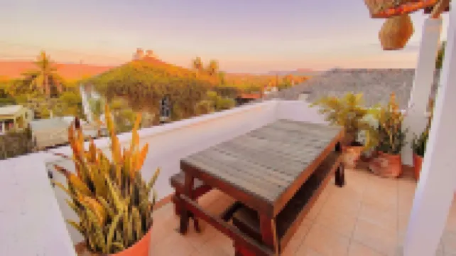 Perro Surfero Hotel Boutique - Todos Santos, Bcs