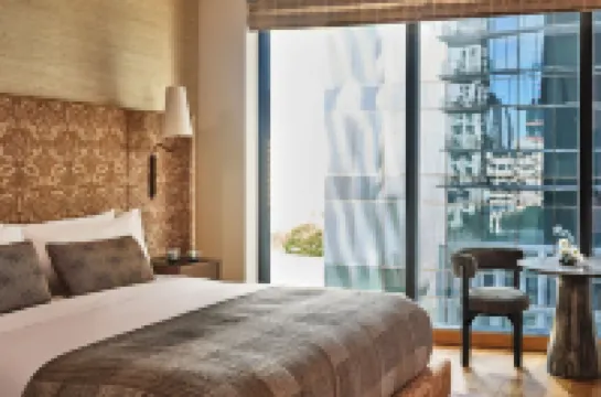 オースティン プロパー ホテル メンバー オブ デザイン ホテルズ