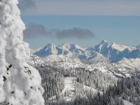 Larch House Hotels in Whitefish