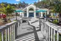 Solara Apartments Spacious 2BR Apartment Sleeps 6 Pet-Friendly