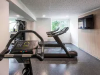 Novotel Rennes Alma - Fitnessstudio