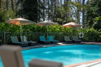 Stay Kerikeri - Pool