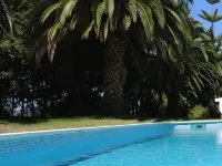 Flag Hotel Santarém - Yüzme Havuzu