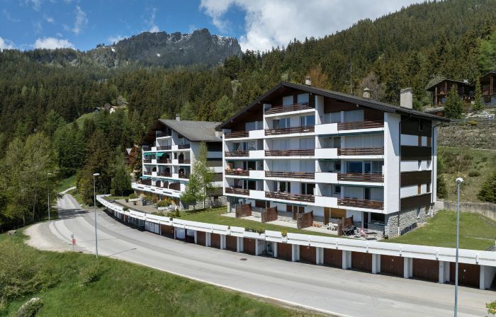 Clairière des Barzettes B14