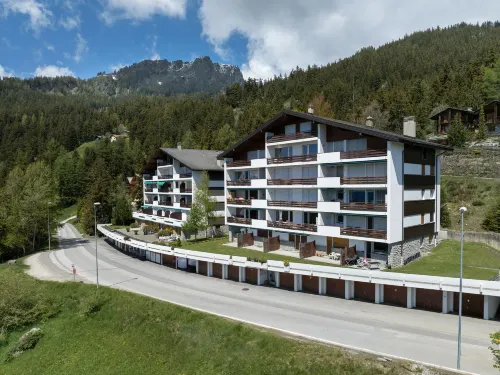 Clairière des Barzettes B16