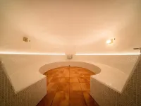 樹樂休閑酒店 - SPA
