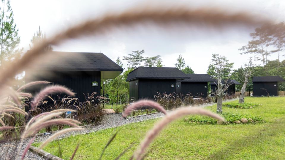 Cabin @ ARTOTEL Pelangi Park