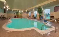 Hilton Garden Inn Clarksville - bar