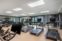 Hilton Grand Vacations Club Maui Bay Villas - gimnasio