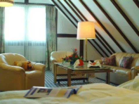 Sauerland Alpin Hotel Hoteles en Schmallenberg