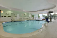 Hilton Garden Inn Chicago O'Hare Airport - piscina