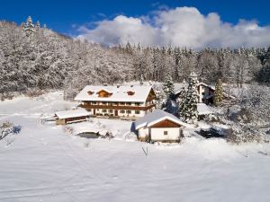 5 Star Apartment Almberg Directly at The National Park Bavarian Forest, 4 Guests