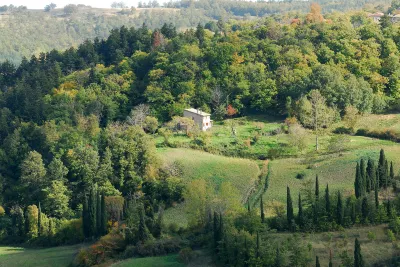 - Agriturismo La Piaggia - appartamento vista bosco piano terra 2 ospiti