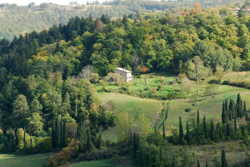 - Agriturismo la Piaggia - Forest View Apartment on the Ground Floor 2 Guests