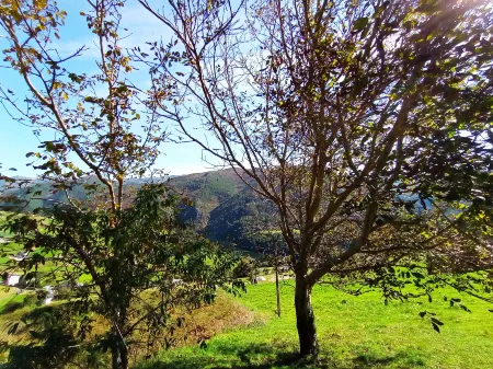 Casa de Aldea - Mirador del Navia