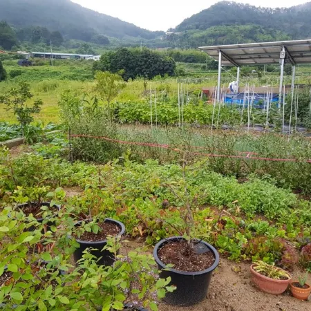 Goseong 1379 Stay Pension