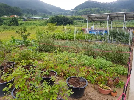 Goseong 1379 Stay Pension Отели рядом с достопримечательностью «Goseong Dinosaur World Expo»