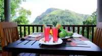 Blue Ribbon Homestay Hotels in Ella