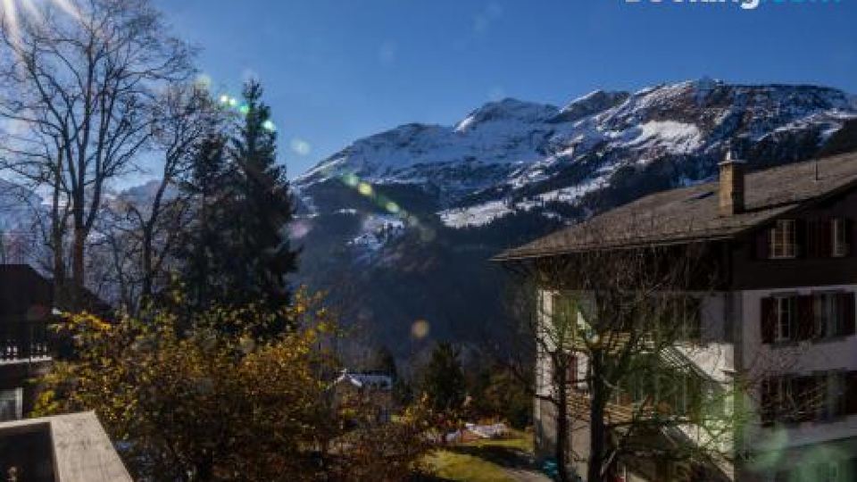 Chalet Schweizerhof 1
