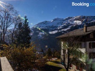 Chalet Schweizerhof 1
